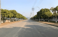 Thực hiện công tác chăm sóc cây xanh tại Khu công nghiệp Thanh Bình