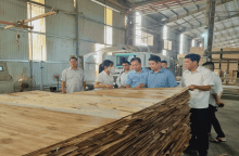 Tình hình sản xuất kinh doanh 6 tháng đầu năm 2024 của các doanh nghiệp trong Khu công nghiệp Thanh Bình