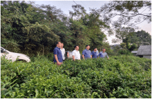 Đẩy nhanh tiến độ chuyển đổi đất rừng trồng sản xuất sang mục đích khác tại Khu công nghiệp Thanh Bình, tỉnh BắcKạn – Giai đoạn II