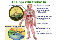 Khu công nghiệp Thanh Bình quyết tâm thực hiện quyền của công dân là “Được sống, làm việc trong môi trường không có khói thuốc lá”