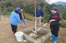 Hưởng ứng “Tết trồng cây” xuân Giáp Thìn năm 2024 và chăm sóc cây xanh tại Khu công nghiệp Thanh Bình